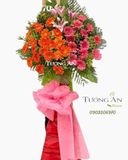  Kệ Hoa Đồng Tiền Mừng Khai Trương - B504 