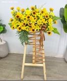  Kệ Hoa Nắng Vàng May Mắn - MM36 