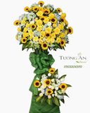  Kệ Hoa Ngày Nắng Lên - A43 