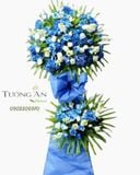  Kệ Hoa Tầm Cao Mới - A100 