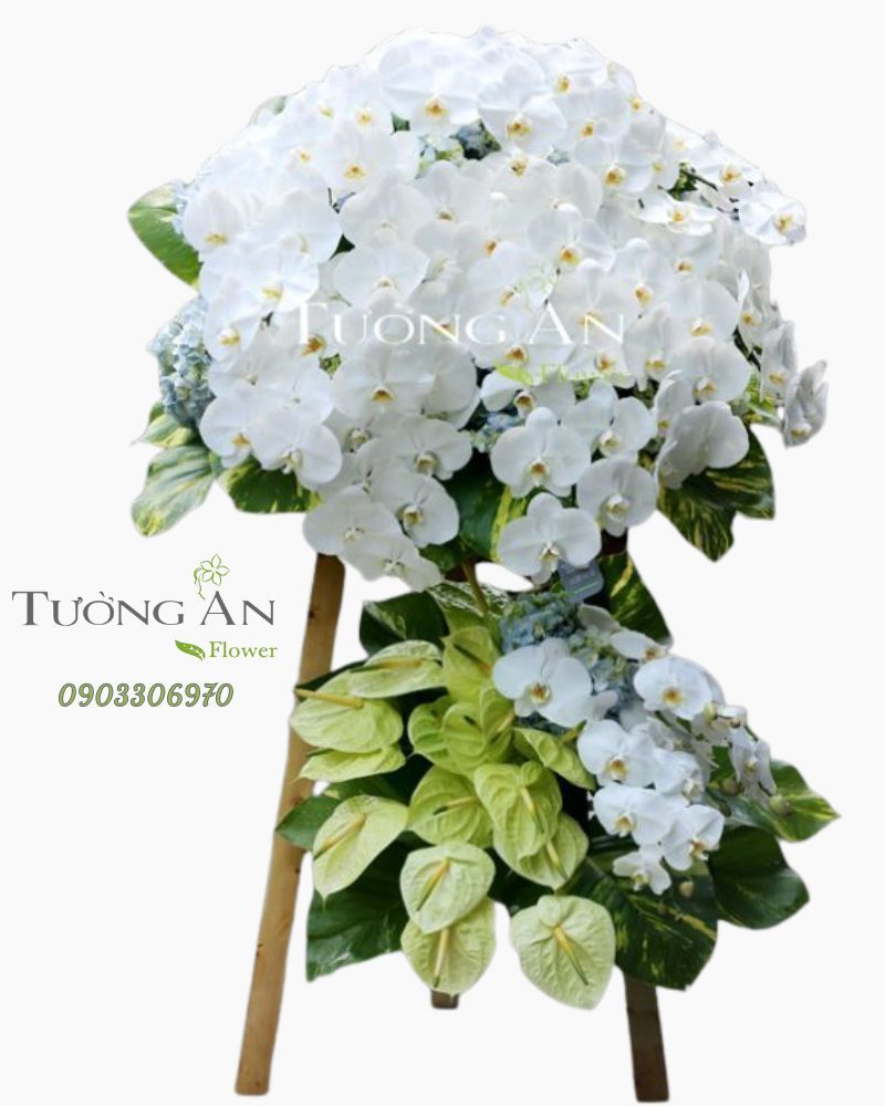  Kệ Hoa Tang Lời Chia Tay - S340 