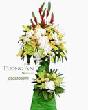  Kệ Hoa Thắng Lợi - S512 