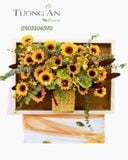  Kệ Hoa Tương Lai Rực Rỡ - S490 