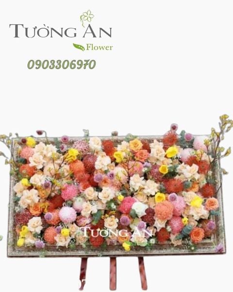 ke-tranh-hoa-thiet-ke-b454