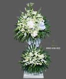  Vòng Hoa Kiếp Vô Thường - S631 