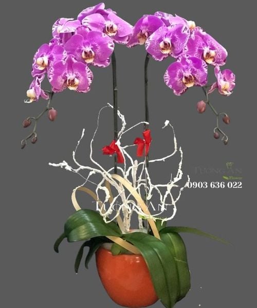 chau-lan-ho-diep-dep-s841