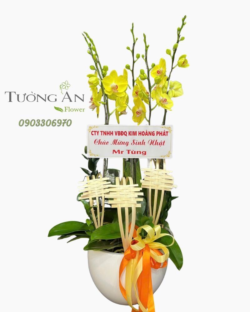  Chậu Lan Hồ Điệp Kim Phát Hưng Vượng - LHD13 