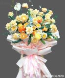  Kệ Hoa Khởi Đầu Tỏa Sáng - MM34 
