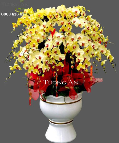 chau-lan-ho-diep-ngay-vinh-quang-s768