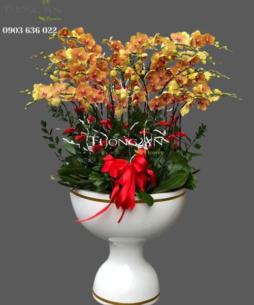 chau-lan-ho-diep-ngay-xuan-hanh-phuc-s792