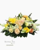  OVAN Để Bàn - OV1 