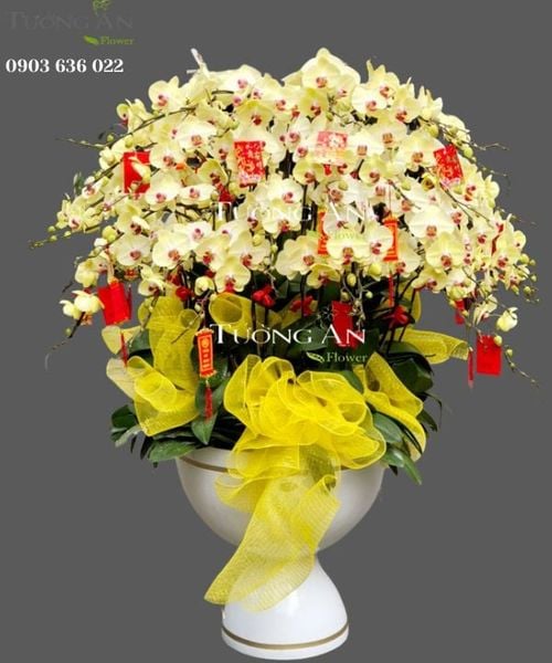 chau-lan-ho-diep-phu-quy-tron-doi-s782