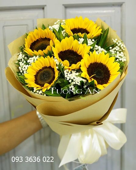 Bó Hoa Ngày Nắng