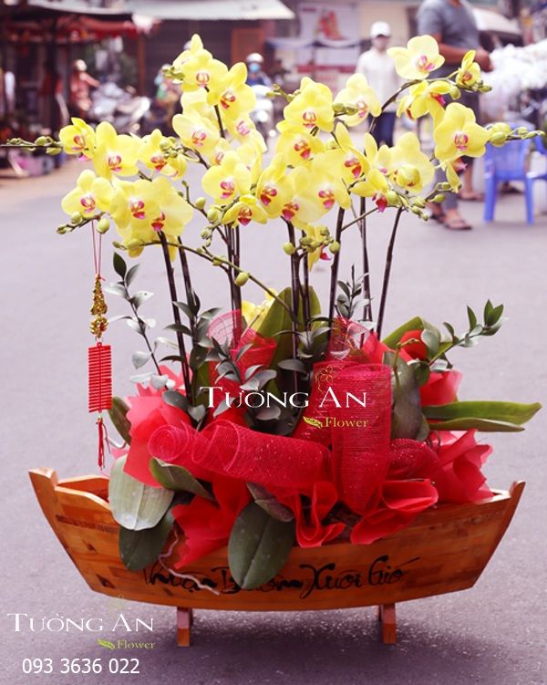  CHẬU LAN HỒ ĐIỆP THUẬN BƯỜM XUÔI GIÓ - S664 