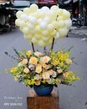  Hoa Bong Bóng Mùa Hạ - S773 