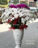  Chậu Lan Hồ Điệp Xoay Tròn - S957 