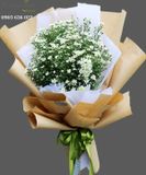  Bó Hoa Thạch Thảo - S537 