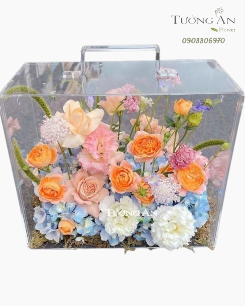  Vali Chạm Vào Thanh Xuân - HH7 