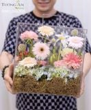  Hộp Hoa Vali Giai Điệu Màu Hoa - HH6 