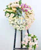  Vòng Hoa Hương Sắc Cuối Cùng - MM35 