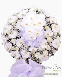  Vòng Hoa Khúc Nhạc Buồn - S404 