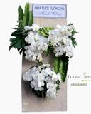  Vòng Hoa Rạng Danh - S766 