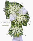  Vòng Hoa Vĩnh Hằng - A105 