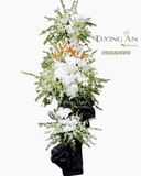  Vòng Hoa Xót Xa - S262 