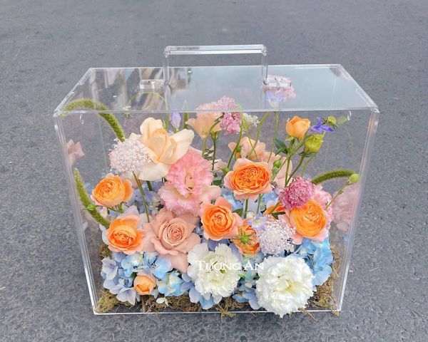  Vali Chạm Vào Thanh Xuân - HH7 