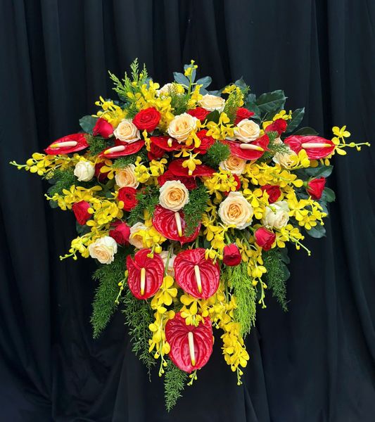  Bục Tỏa Sáng - BN4 