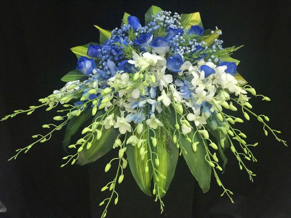  Bục Danh Dự - BN5 