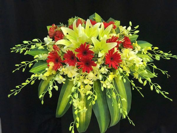  Bục Khai Phá - BN6 