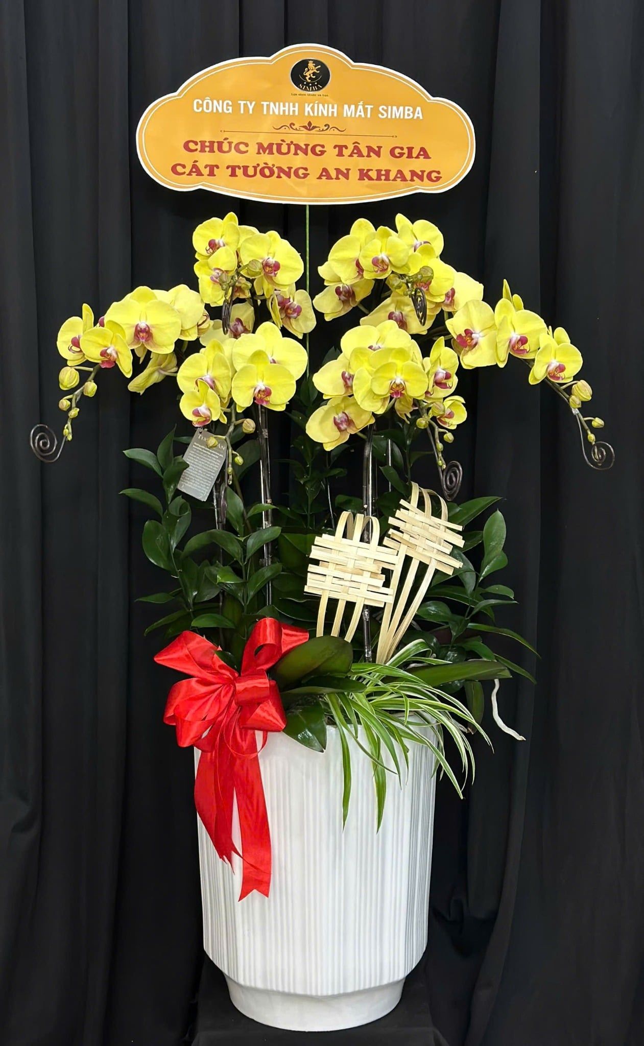  Chậu Lan Hồ Điệp Hoàng Kim Phát Lộc - LHD07 