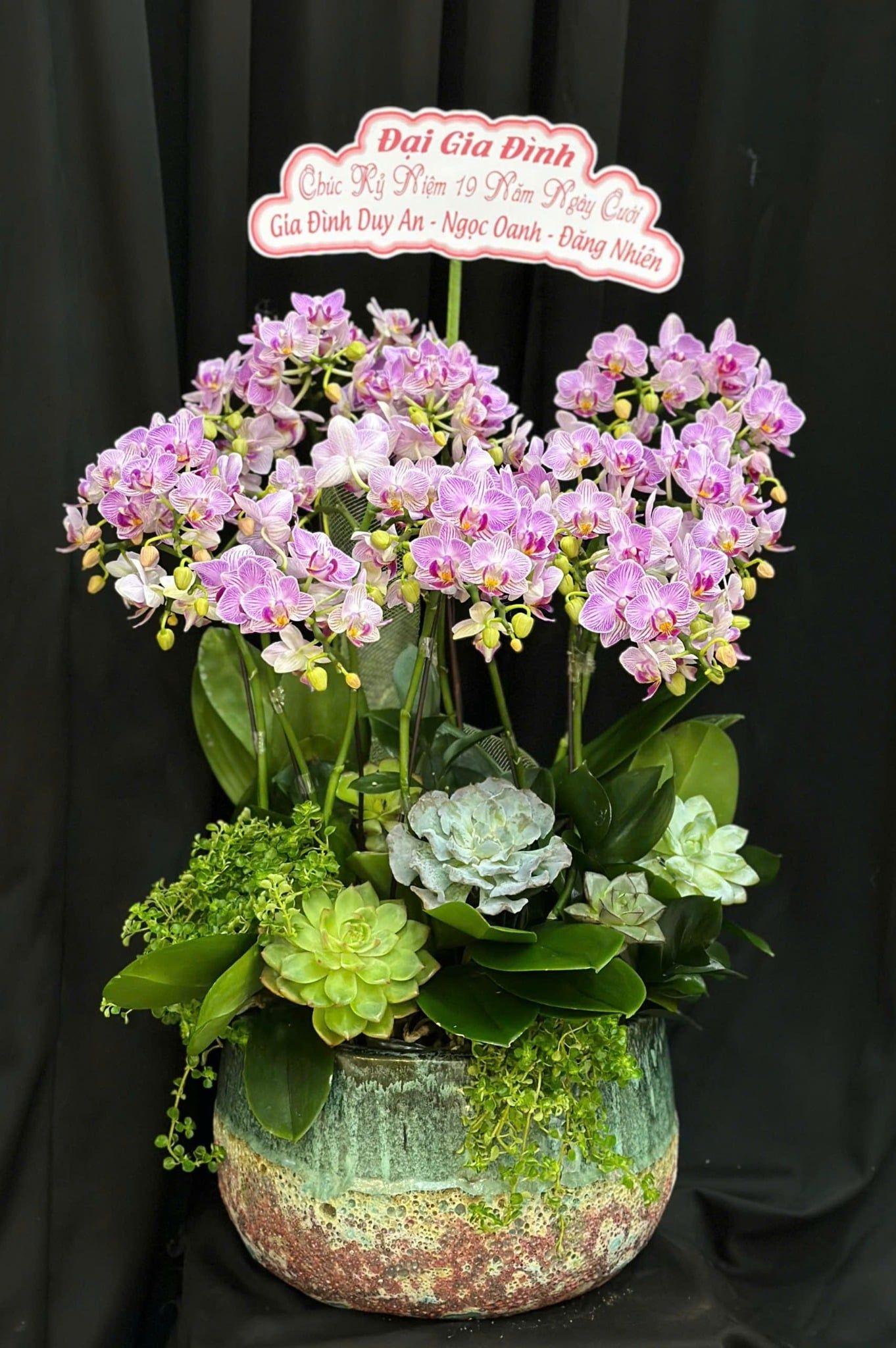  Chậu Lan Hồ Điệp Phúc Ngọc Viên Mãn - LHD02 