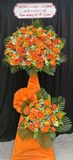  Hoa Chúc Mừng Cam Vượng Thành Công - HCM06 