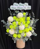  Hoa Cắm Hộp Lục Ngọc Green Victory - HCH12 