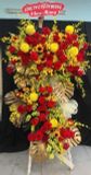  Hoa Chúc Mừng Kim Hỏa Phú Quý - HCM12 