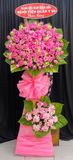  Hoa Chúc Mừng Hồng Vận Khai Xuân - HCM21 
