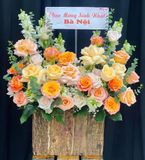  Hoa Cắm Hộp Nắng Dịu Ban Mai - HCH21 