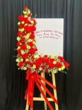  Hoa Chúc Mừng Hồng Phát Vinh Danh - HCM22 