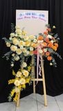  Hoa Chúc Mừng Sắc Hoa Khởi Phát - HCM24 