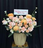  Hoa Cắm Hộp Cam Hồng An Yên - HCH25 