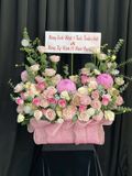  Hoa Cắm Hộp Khoảnh Khắc Tươi Hồng - HCH31 