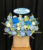  Hoa Cắm Hộp Thanh Vân Cát Tường - HCH29 