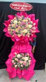  Hoa Chúc Mừng Hương Hồng Cát Tường - HCM27 