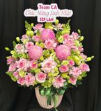  Hoa Cắm Hộp Duyên Hồng Tươi Mới - HCH37 