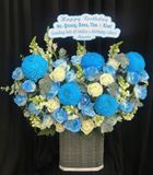  Hoa Cắm Hộp Lam Ngọc Hân Hoan - HCH32 