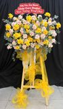  Hoa Chúc Mừng Nắng Vàng Khởi Phát - HCM31 
