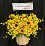  Hoa Cắm Hộp Hoàng Hoa Khởi Vận - HCH44 