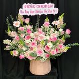  Hoa Cắm Hộp Hồng Ngọc Thuần Khiết - HCH46 
